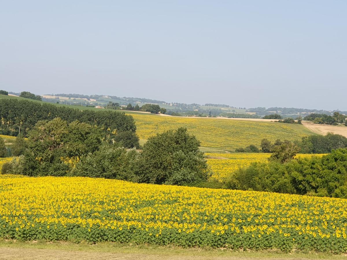 Gite La Halippe Caussens Exterior foto